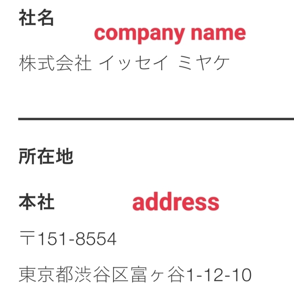 FYI DO NOT purchase counterfeit Bao Bao Issey Miyake - Picture 2 of 12